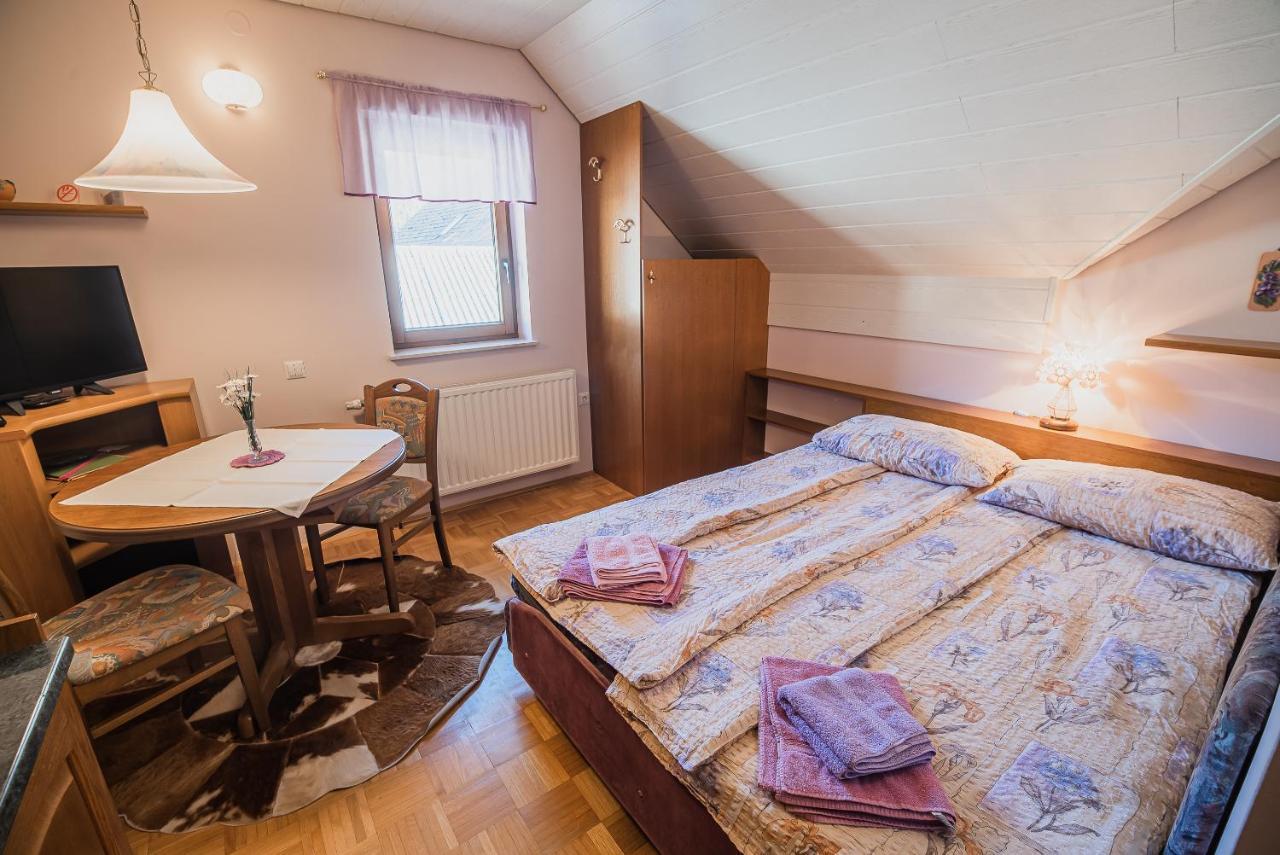 Homestay Kocka Zgornje Jezersko Buitenkant foto