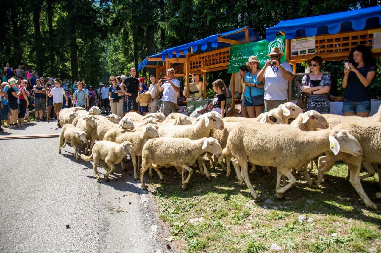 Homestay Kocka Zgornje Jezersko Buitenkant foto