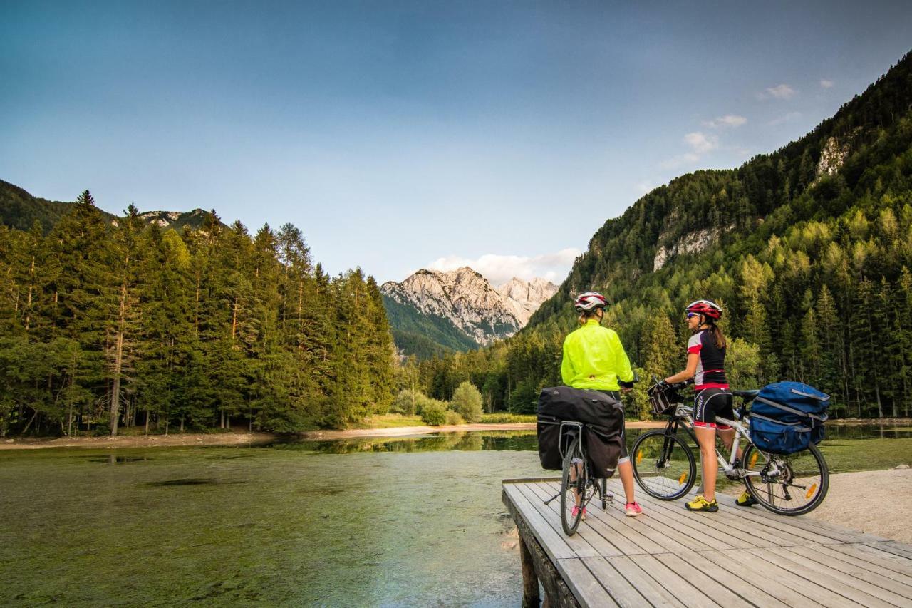 Homestay Kocka Zgornje Jezersko Buitenkant foto