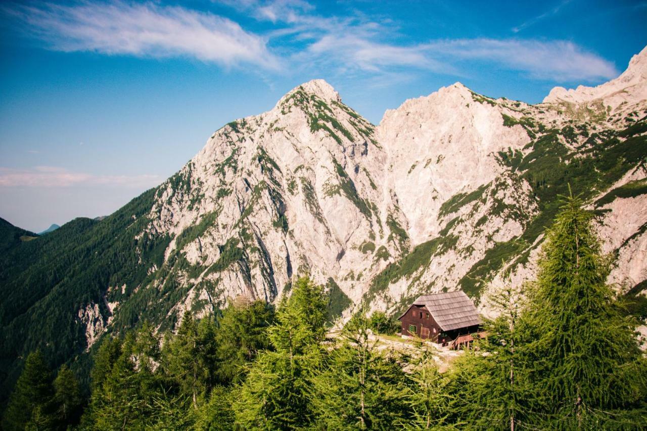 Homestay Kocka Zgornje Jezersko Buitenkant foto